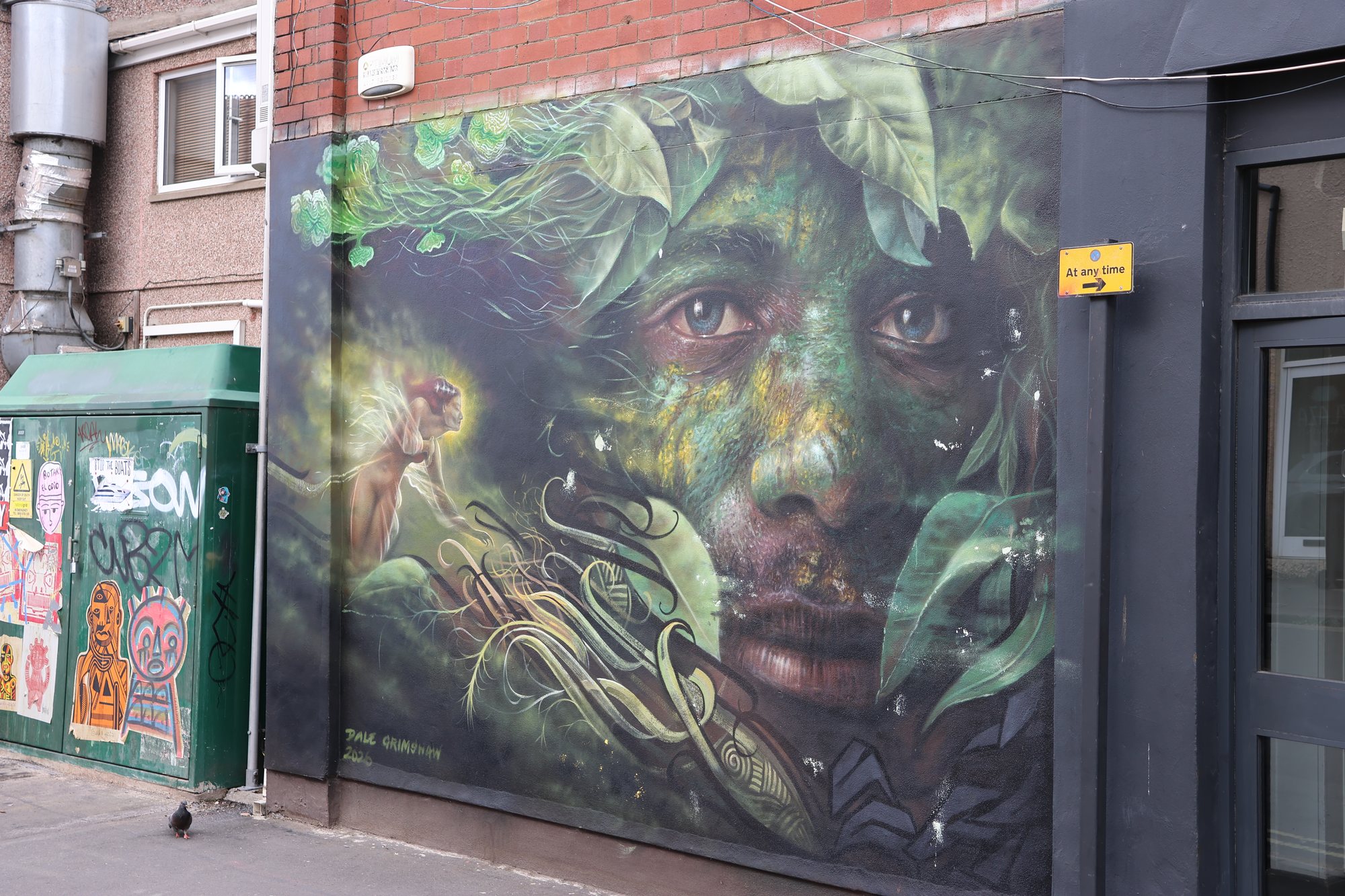 Photograph by Dale Grimshaw, 277 North St, Southville, Bristol BS3 1JP